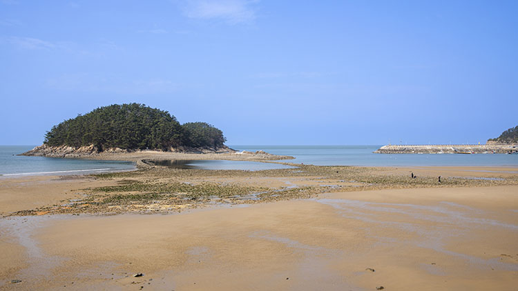 천리포해수욕장