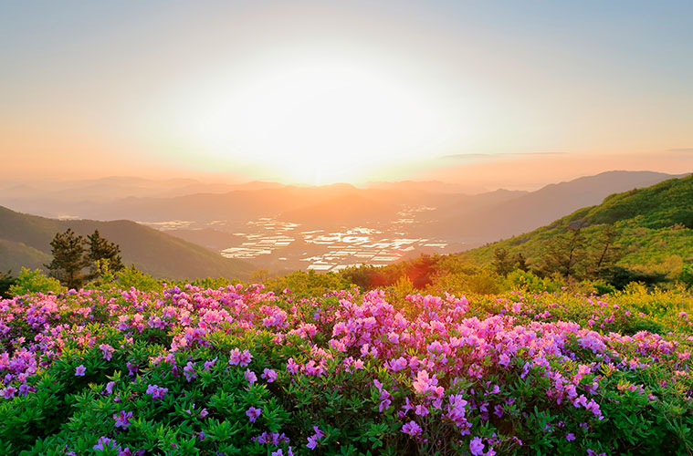 제암산