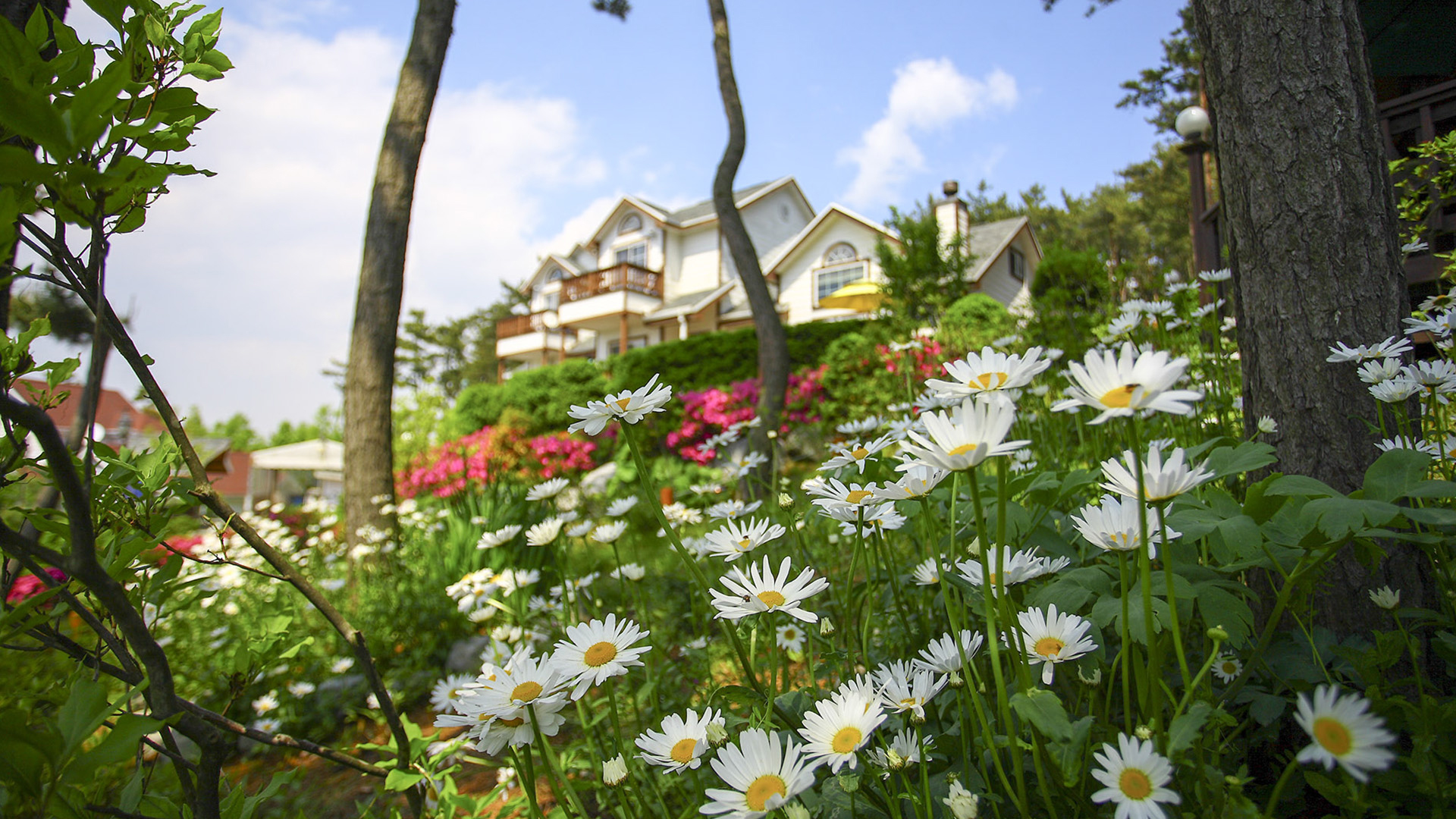 슬라이드 이미지2