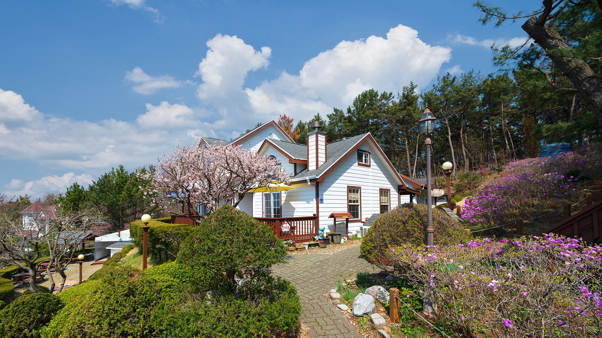 슬라이드 이미지5