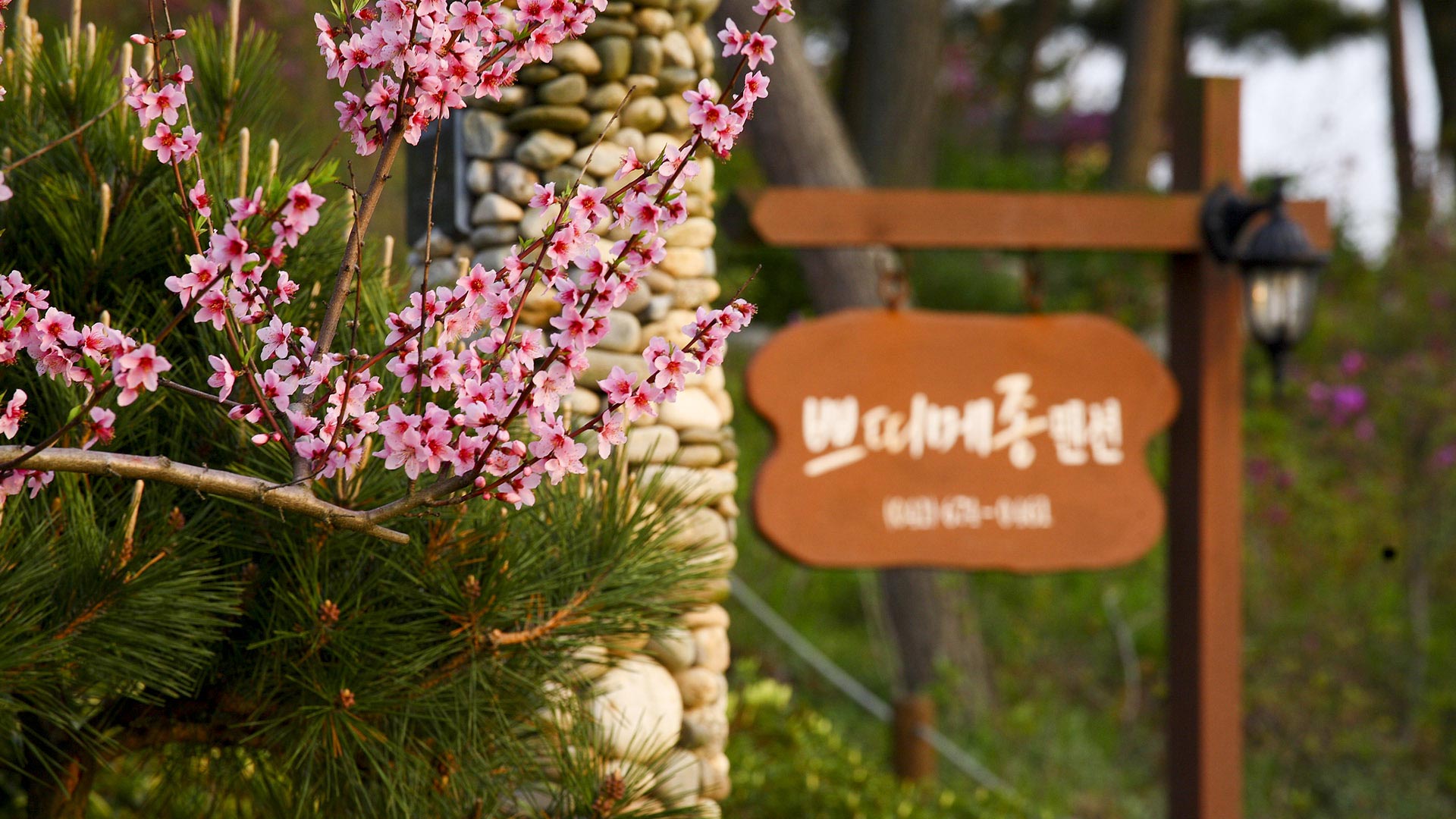 슬라이드 이미지24