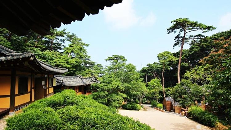 안면도자연휴양림